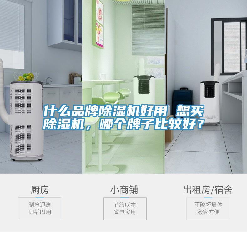 什么品牌除濕機(jī)好用 想買除濕機(jī)，哪個(gè)牌子比較好？