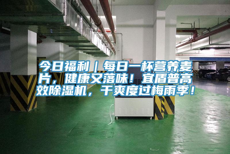 今日福利｜每日一杯營養(yǎng)麥片，健康又落味！宜盾普高效除濕機，干爽度過梅雨季！