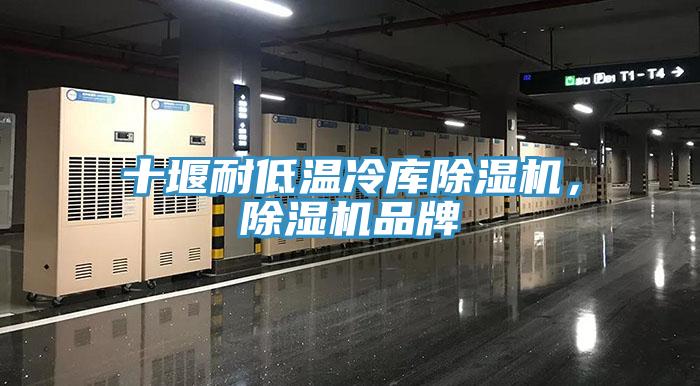 十堰耐低溫冷庫除濕機，除濕機品牌