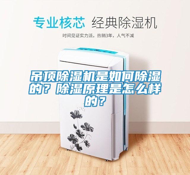 吊頂除濕機(jī)是如何除濕的？除濕原理是怎么樣的？