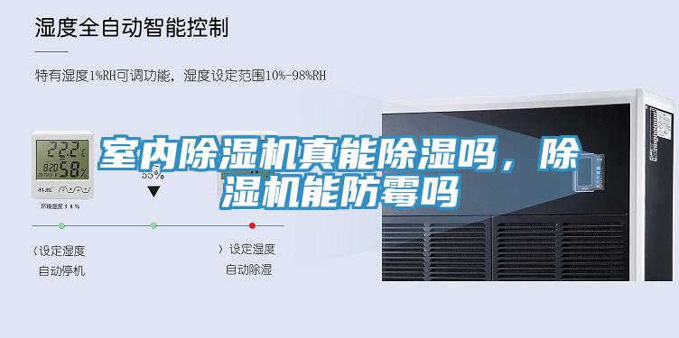 室內(nèi)除濕機真能除濕嗎，除濕機能防霉嗎