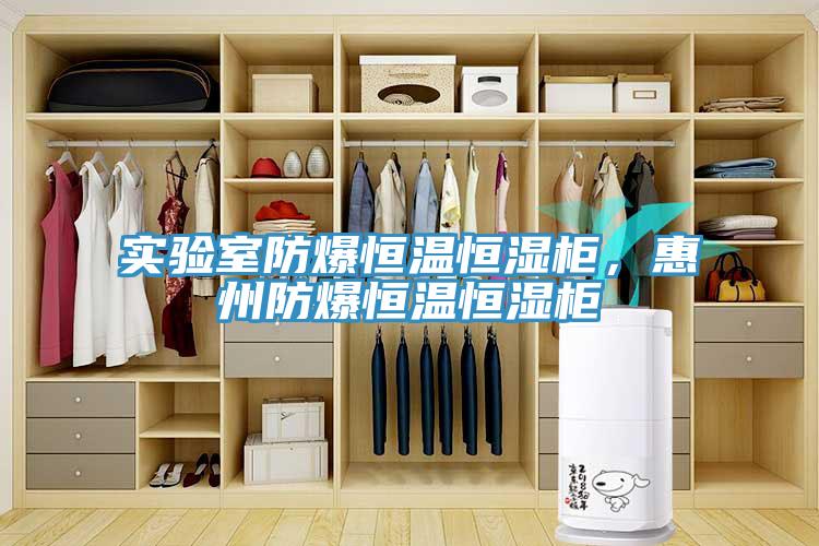 實(shí)驗(yàn)室防爆恒溫恒濕柜，惠州防爆恒溫恒濕柜