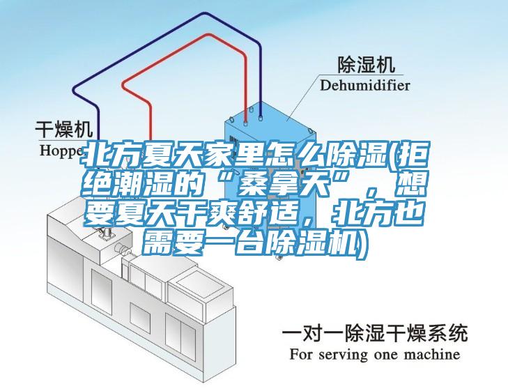 北方夏天家里怎么除濕(拒絕潮濕的“桑拿天”，想要夏天干爽舒適，北方也需要一臺除濕機)