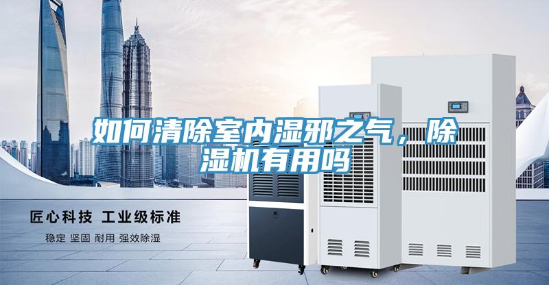 如何清除室內(nèi)濕邪之氣，除濕機(jī)有用嗎