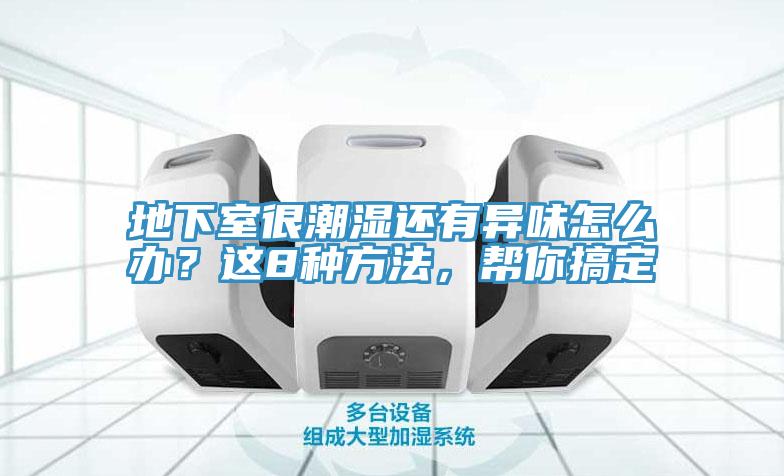 地下室很潮濕還有異味怎么辦？這8種方法，幫你搞定
