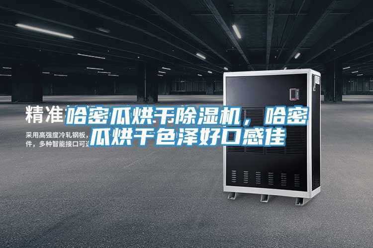 哈密瓜烘干除濕機，哈密瓜烘干色澤好口感佳