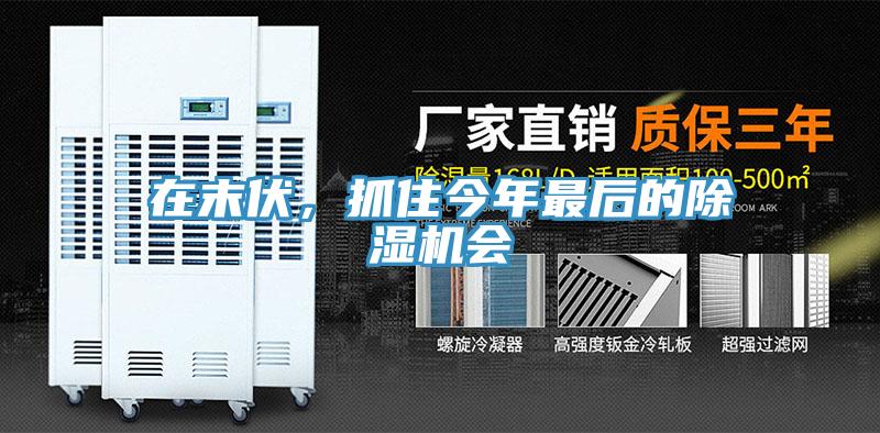 在末伏，抓住今年最后的除濕機(jī)會(huì)