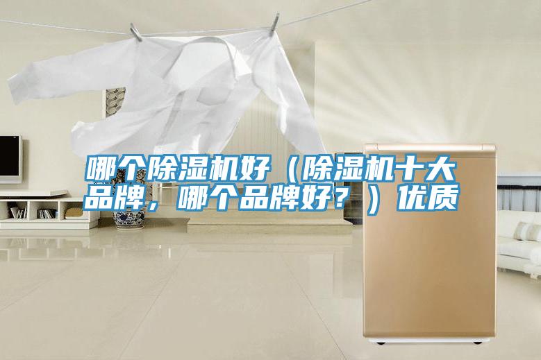 哪個除濕機好（除濕機十大品牌，哪個品牌好？）優(yōu)質