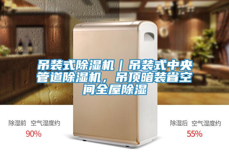 吊裝式除濕機｜吊裝式中央管道除濕機，吊頂暗裝省空間全屋除濕