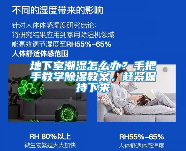 地下室潮濕怎么辦？手把手教學除濕教案，趕緊保持下來