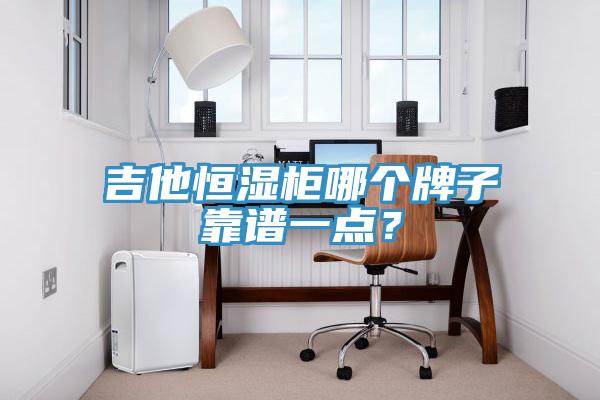 吉他恒濕柜哪個牌子靠譜一點？