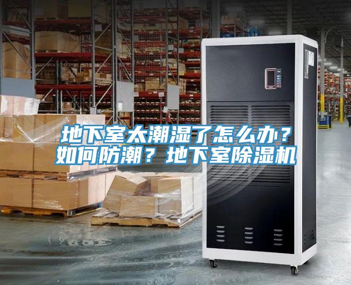 地下室太潮濕了怎么辦？如何防潮？地下室除濕機