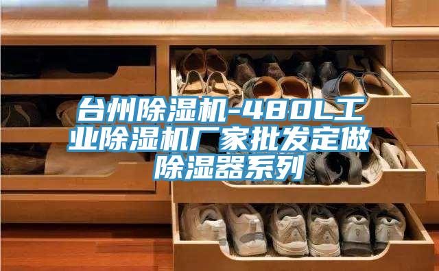 臺(tái)州除濕機(jī)-480L工業(yè)除濕機(jī)廠(chǎng)家批發(fā)定做 除濕器系列