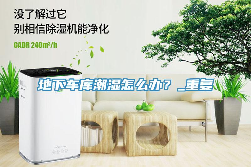 地下車庫潮濕怎么辦？_重復