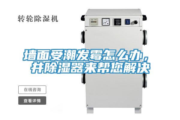 墻面受潮發(fā)霉怎么辦，東井除濕器來(lái)幫您解決