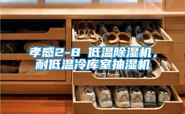 孝感2-8℃低溫除濕機，耐低溫冷庫室抽濕機