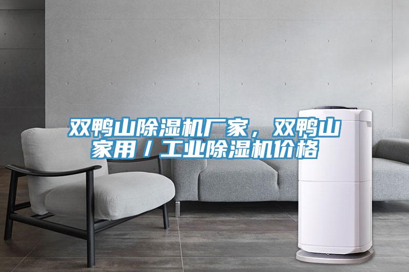 雙鴨山除濕機廠家，雙鴨山家用／工業(yè)除濕機價格