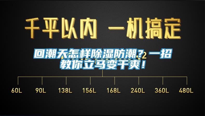 回潮天怎樣除濕防潮？一招教你立馬變干爽！