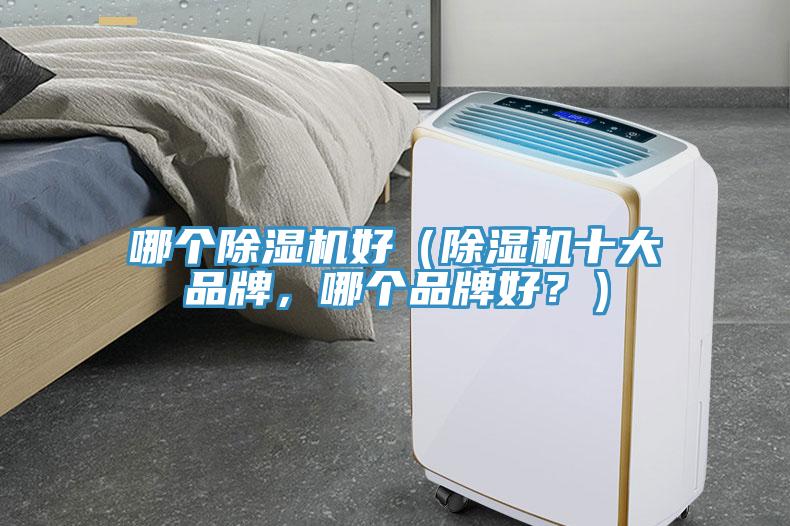 哪個除濕機好（除濕機十大品牌，哪個品牌好？）