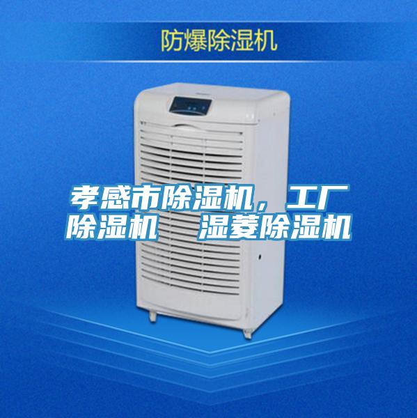 孝感市除濕機，工廠除濕機  濕菱除濕機