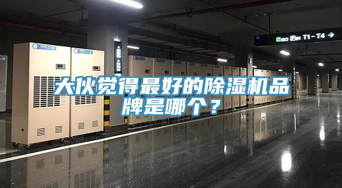 大伙覺(jué)得最好的除濕機(jī)品牌是哪個(gè)？