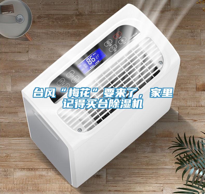 臺風(fēng)“梅花”要來了，家里記得買臺除濕機(jī)