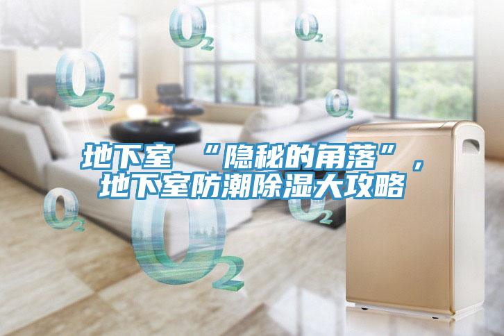地下室≠“隱秘的角落”，地下室防潮除濕大攻略
