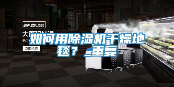 如何用除濕機干燥地毯？_重復