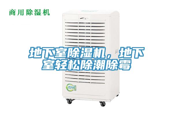 地下室除濕機(jī)，地下室輕松除潮除霉