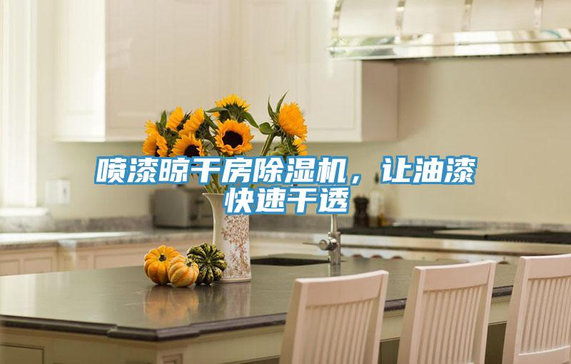 噴漆晾干房除濕機，讓油漆快速干透
