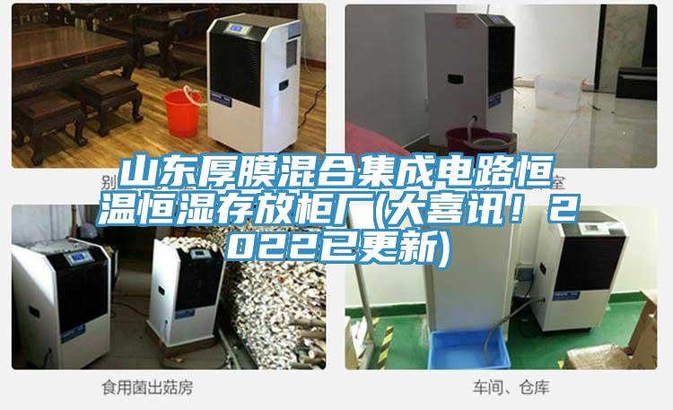 山東厚膜混合集成電路恒溫恒濕存放柜廠(大喜訊！2022已更新)