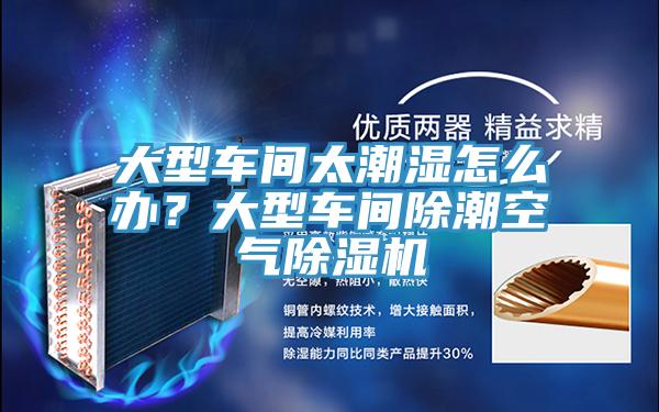 大型車間太潮濕怎么辦？大型車間除潮空氣除濕機(jī)