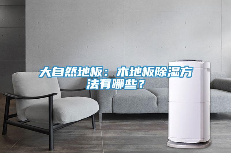 大自然地板：木地板除濕方法有哪些？