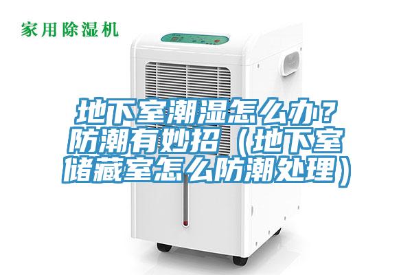 地下室潮濕怎么辦？防潮有妙招（地下室儲藏室怎么防潮處理）
