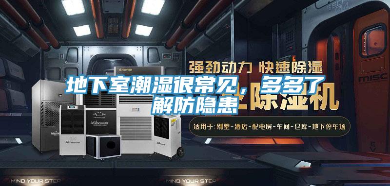 地下室潮濕很常見，多多了解防隱患
