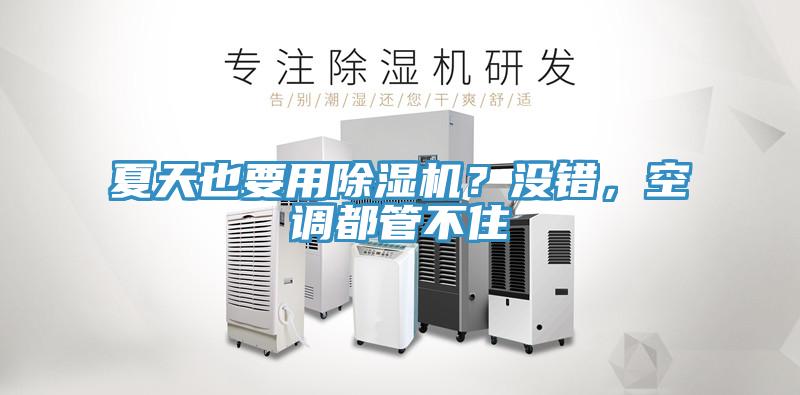 夏天也要用除濕機(jī)？沒(méi)錯(cuò)，空調(diào)都管不住