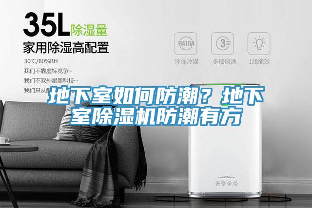 地下室如何防潮？地下室除濕機防潮有方