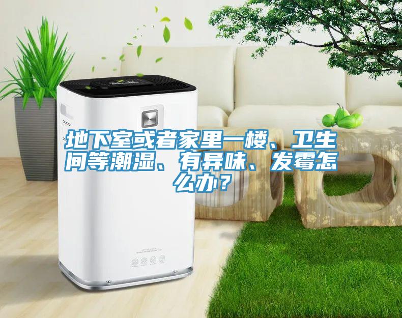 地下室或者家里一樓、衛(wèi)生間等潮濕、有異味、發(fā)霉怎么辦？