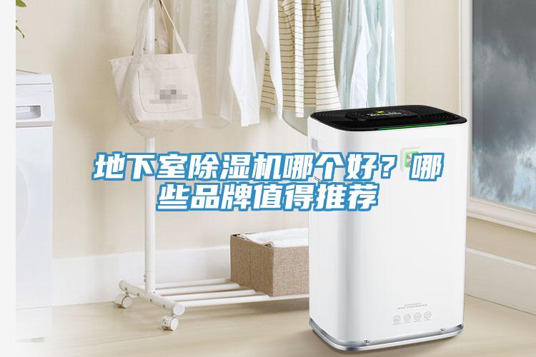 地下室除濕機哪個好？哪些品牌值得推薦