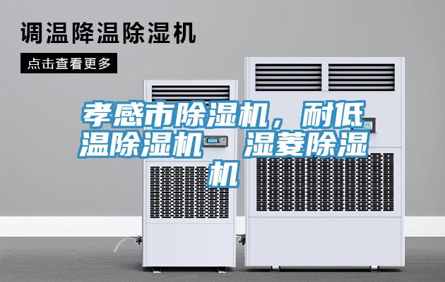 孝感市除濕機，耐低溫除濕機  濕菱除濕機