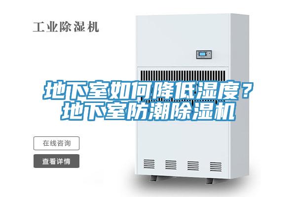 地下室如何降低濕度？地下室防潮除濕機