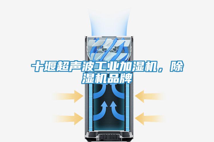 十堰超聲波工業(yè)加濕機，除濕機品牌