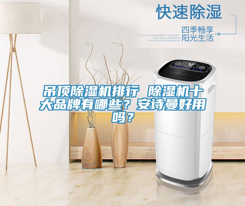 吊頂除濕機(jī)排行 除濕機(jī)十大品牌有哪些？安詩曼好用嗎？