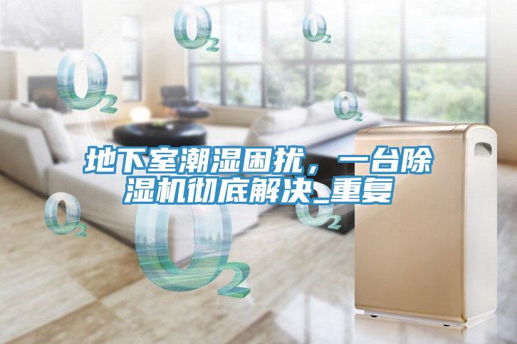 地下室潮濕困擾，一臺除濕機徹底解決_重復