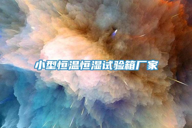 小型恒溫恒濕試驗(yàn)箱廠(chǎng)家