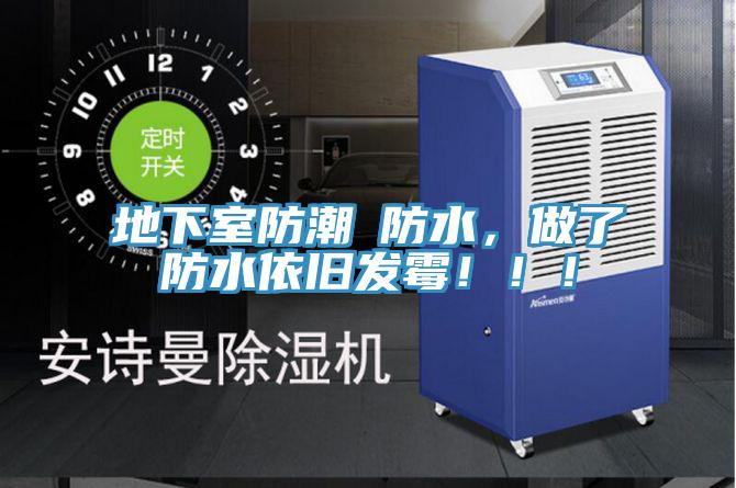 地下室防潮≠防水，做了防水依舊發(fā)霉！??！