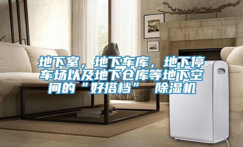 地下室，地下車庫，地下停車場以及地下倉庫等地下空間的“好搭檔” 除濕機