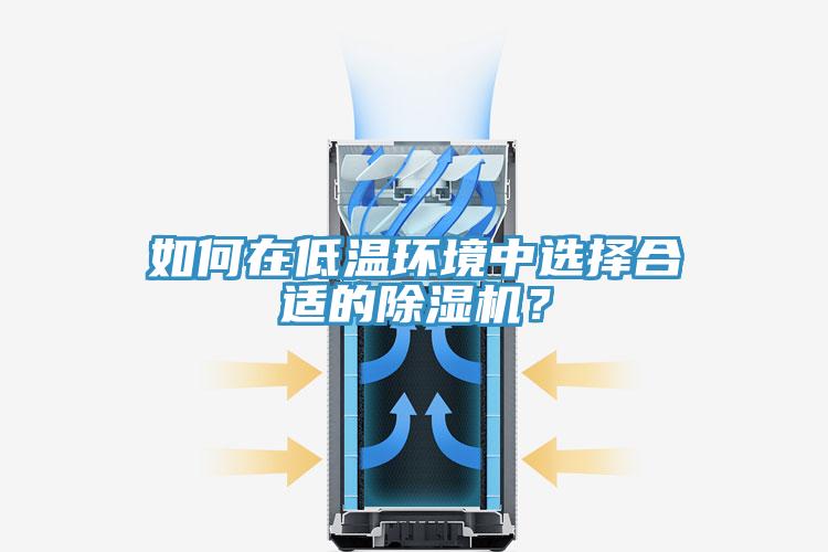如何在低溫環(huán)境中選擇合適的除濕機(jī)？