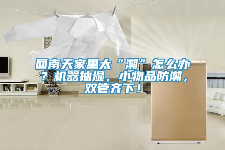 回南天家里太“潮”怎么辦？機器抽濕，小物品防潮，雙管齊下！