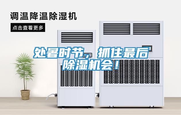 處暑時(shí)節(jié)，抓住最后除濕機(jī)會(huì)！